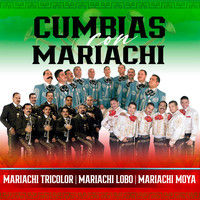 Mariachi Moya, Mariachi Lobo & Mariachi Tricolor - Cumbias Con Mariachi