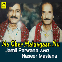 Jamil Parwana - Na Cher Malangaan Nu