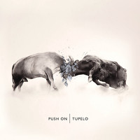 Tupelo - Push On (Deluxe Version)