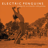 Electric Penguins - Airships Fly Over Beaches With Godetias (Radio Edit)