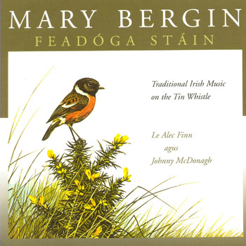 Mary Bergin featuring Alec Finn and Johnny McDonagh - Feadóga Stáin