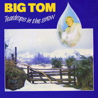 Big Tom - Teardrops In The Snow