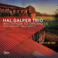 Hal Galper Trio - Invitation to Openness: Live at Big Twig