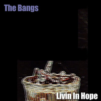 The Bangs - Livin' In Hope