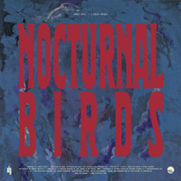 Hubert Daviz - Nocturnal Birds