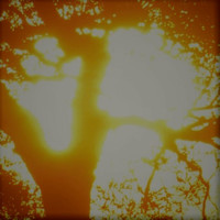 Josi - Hallelujah