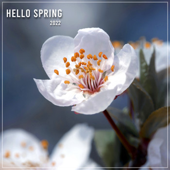 Various Artists - Hello Spring 2022