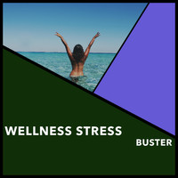 Relaxing Chill Out Music - Wellness Stress Buster
