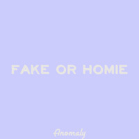 Anomaly - Fake or Homie