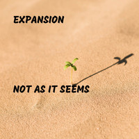 Expansion - Not As It Seems (Explicit)