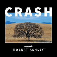 Robert Ashley - Crash