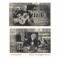 Joe Chester - Under the Ragged Thorn (Live In Nice)