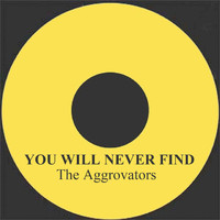 The Aggrovators - You Will Never Find