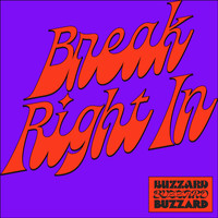 Buzzard Buzzard Buzzard - Break Right In