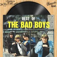 The Bad Boys - L'italia a 33 Giri: the Bad Boys