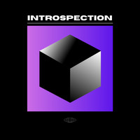 VRN - introspection (Explicit)