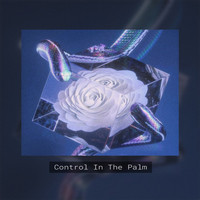 PainByFaith - Control In The Palm