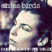 Anies Birds - Part of Something Bigger