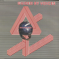 Guided By Voices - Bulldog Skin