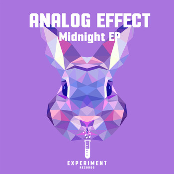 Analog Effect - Midnight EP