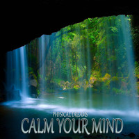 Physical Dreams - Calm Your Mind