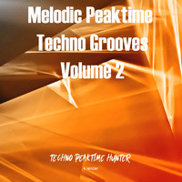 Techno Peaktime Hunter - Melodic Techno Grooves Volume2