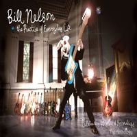 Bill Nelson - The Practice of Everyday Life (Digital Anthology)
