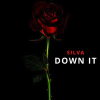 SILVA - Down It