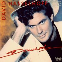 David Hasselhoff - David