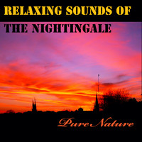 Pure Nature - Relaxing Sounds of the Nightingale