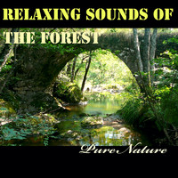 Pure Nature - Relaxing Sounds of the Forest