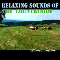 Pure Nature - Relaxing Sounds of the Countryside