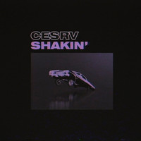 CESRV - Shakin'