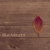 Blue Maudot - Eternal (Continuous Album Mix)