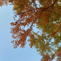 Gallery Six - Gradual Transition