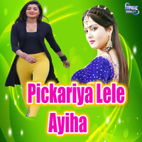 Vinay - Pickariya Lele Ayiha