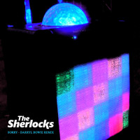 The Sherlocks - Sorry (Darryl Bowie Remix)