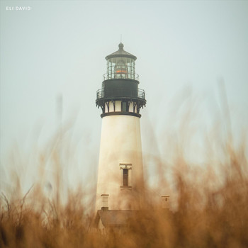 Eli David - Eli David