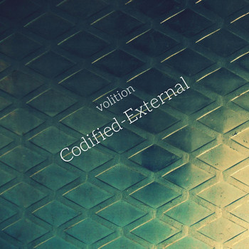Volition - Codified-External
