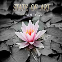 Physical Dreams - State of Art