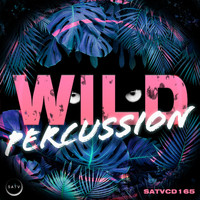 SATV Music - Wild Percussion