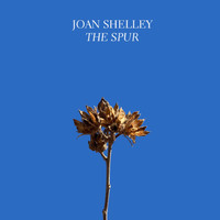 Joan Shelley - The Spur