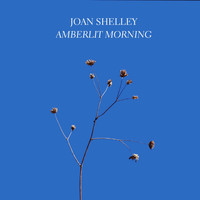 Joan Shelley - Amberlit Morning