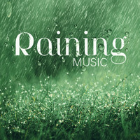 Rain Sounds XLE Library - Raining Music
