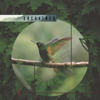 Various Artists - Unchained