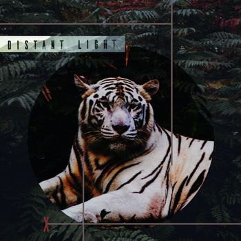 Various Artists - Distant Light