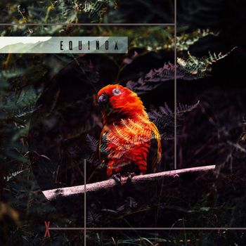 Various Artists - Equinox