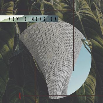 Various Artists - New Dimension