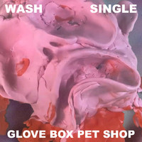 Wash - Glove Box Pet Shop