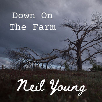 Neil Young - Neil Young Down On The Farm Live